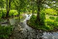 2018_05_26_Coeuillon (0026)